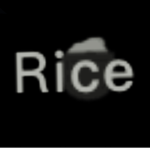 Rice Clam