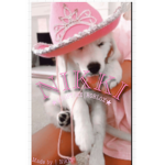 Lovely_coco