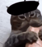 bobux plsssssssssssss