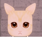 EL GATO FEDERATION