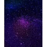 The roblox galaxy gang