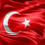 Turkey King