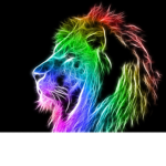 Rainbow Pride (Lion RP)