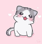 노랑이의 새상
