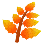 Fire Fern fruit