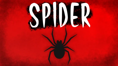 Spider scripts