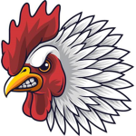 CHICKENN WARRIORS