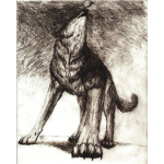 blackwolfpack