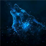 The Star Shadow Wolves Clan