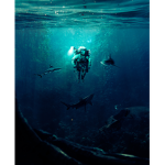 Astronaut, In The Ocean
