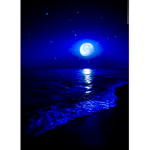 Midnightmoon group
