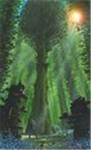 trees groupy
