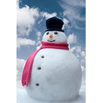 SNOW GENTLEMAN