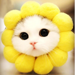 GatitosTiernos
