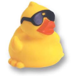 Find the Ducks