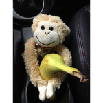 Bananas Homestore
