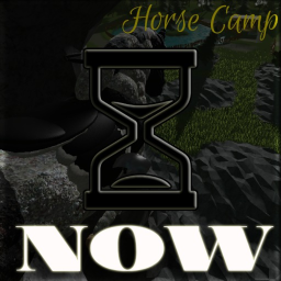 🐴 Horse Camp 🏕️