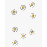 The Daisies Club!