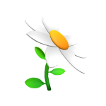 Daisy Flower Sprout