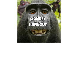 Monkey hangout