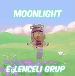 ୨ moonlight ୧