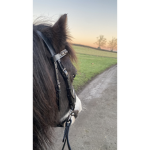 Red wood riding club