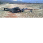 sniper_monkey_cool