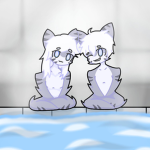 Virko Sharks