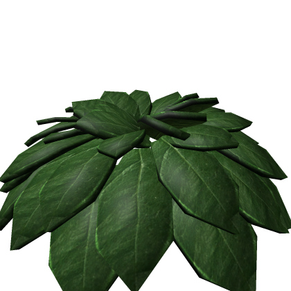 Palm Tree Leaves