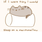 [OFFICIAL] Pusheen Fan Club