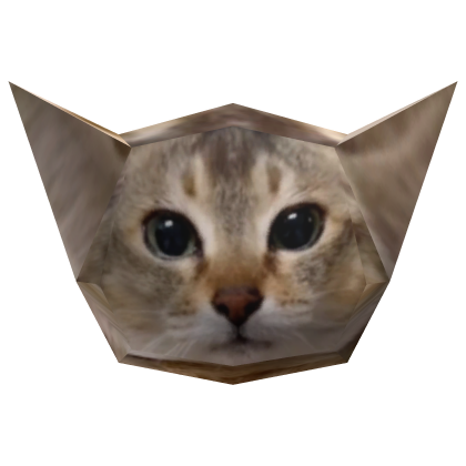 Meimei/Toletole head cat meme - Low poly 
