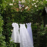 ⊗∞∿ Breeze ∿∞⊗
