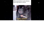 Life sucks :)