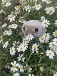 Sheepy is a baddie!