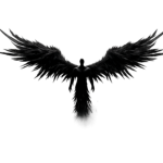 FALLEN ANGELZ XL