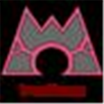 ~Team Magma~