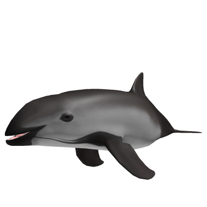 Vaquita