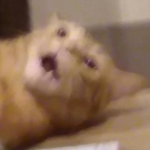Eepy -3-