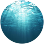 You drowned