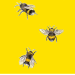 The honey beess