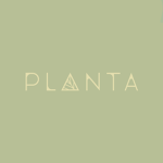 Plantá