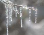 -frosted-