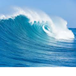 The Oceanfan team