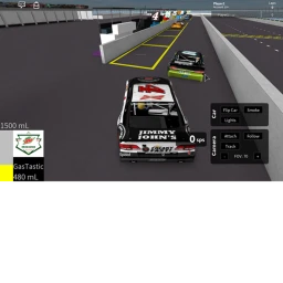 Nascar the game at Martinsville icon