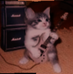 meowworks