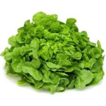 WE ARE LETTUCE