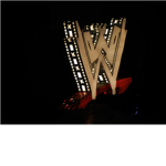 WWE Fans Rock!