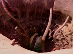 Sarlacc pit fans