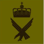 -ɴᴏ- Luftforsvaret