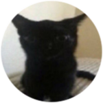 Sploinky